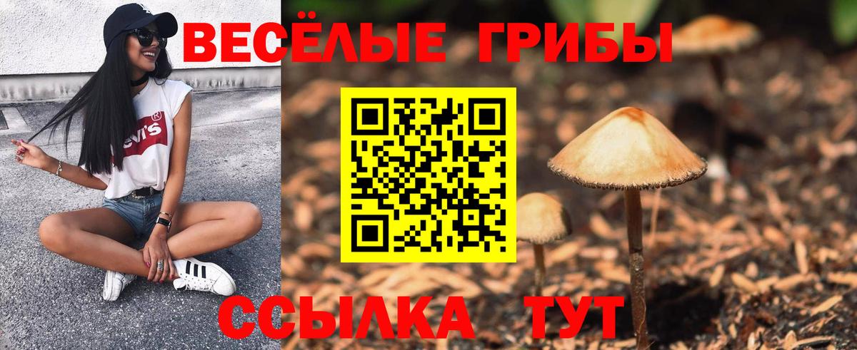 Псилоцибиновые грибы Magic Shrooms  Галлюциногенные грибы Psilocybine cubensis  Фрязино  Вход с VPN 
